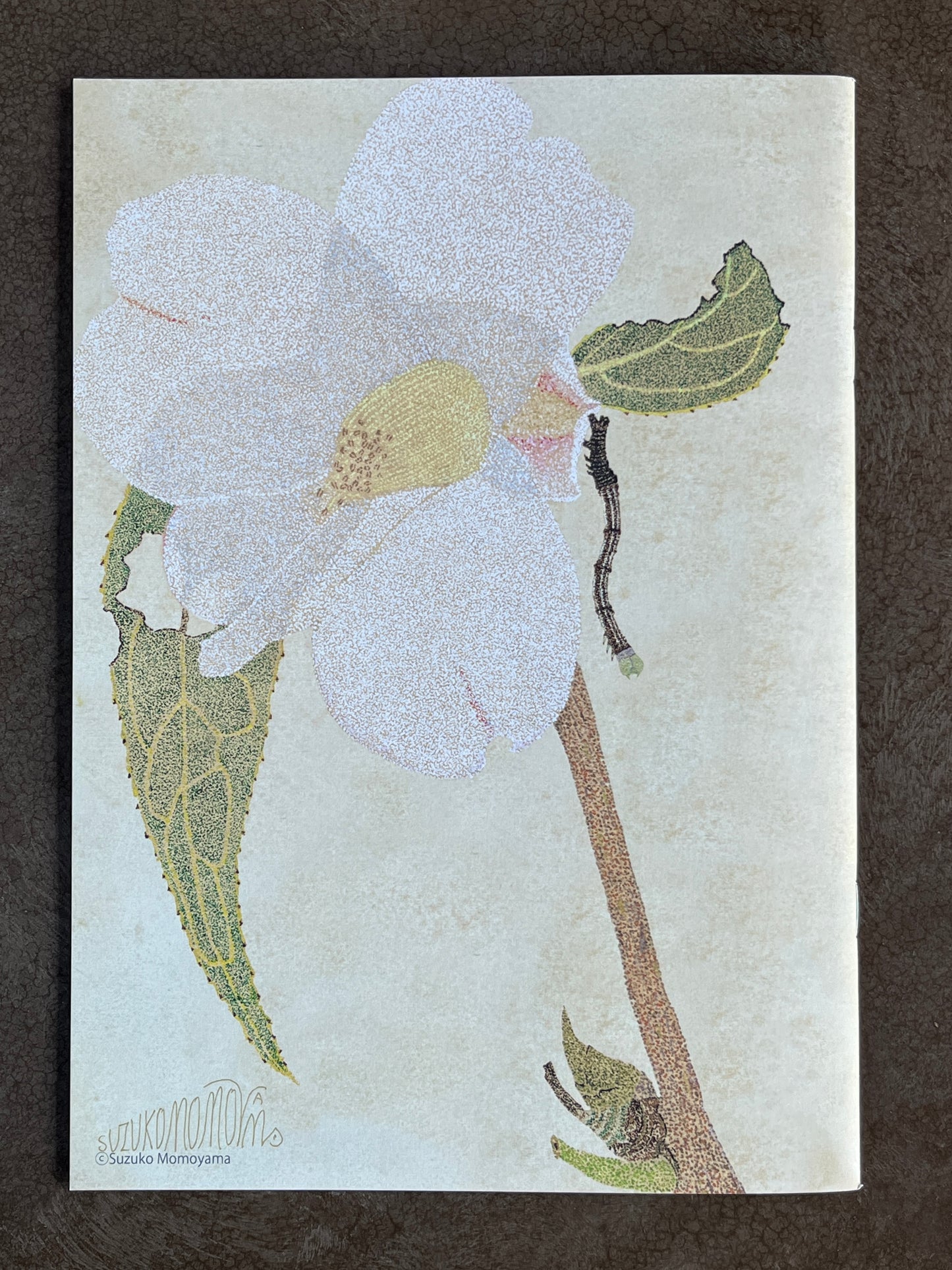 桃山鈴子『Insects』