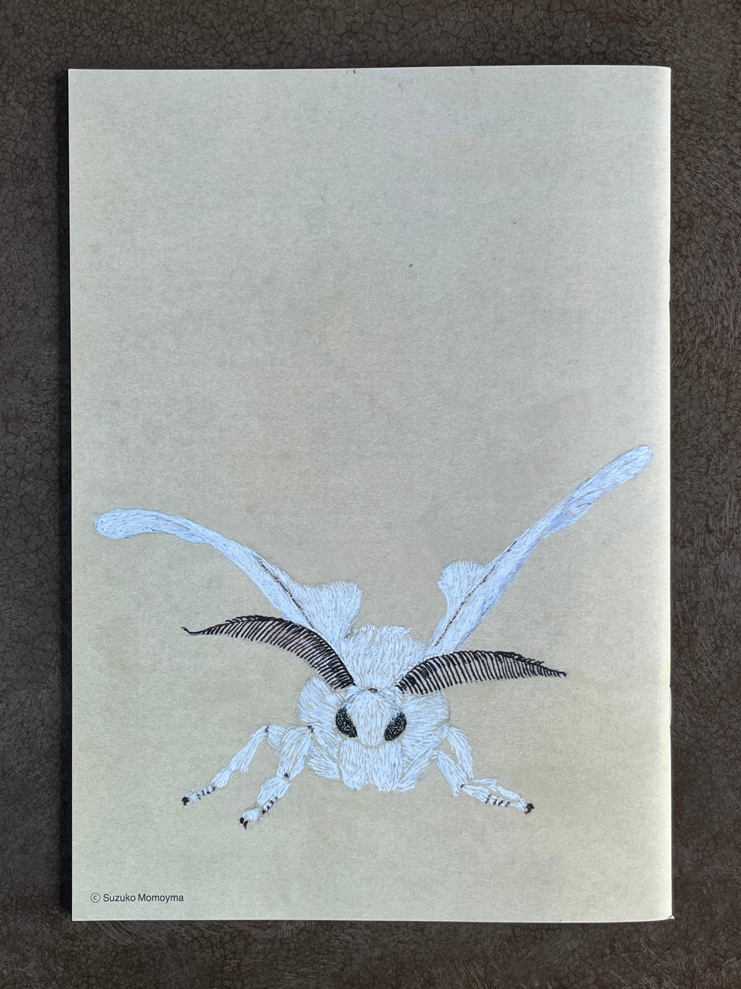 桃山鈴子『Insects2+』
